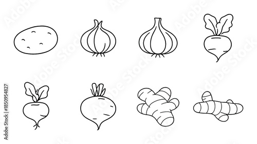 Hand-drawn vegetables: onion, potato, radish, ginger on gray background