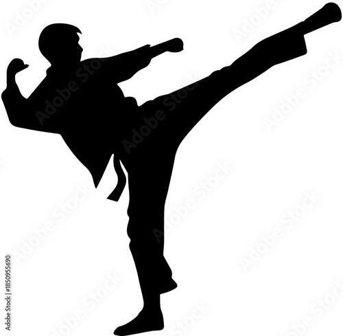Silhouette of Martial Artist Performing High Kick – Black and White Karate Pose Illustration