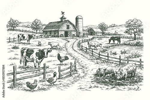 Vintage countryside farm landscape illustration in detailed engraving style, rural agriculture scene with barn, livestock, fences, and fields vector artwork