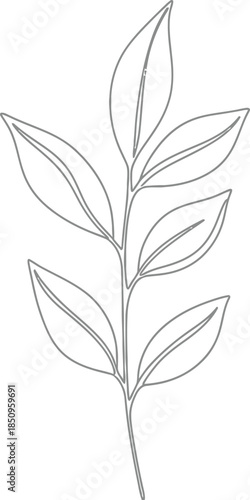 Minimalist botanical line art drawing of a simple branch with paired leaves, elegant nature design