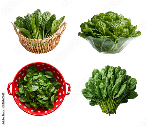 Fresh raw spinach leaves isolated on a transparent background