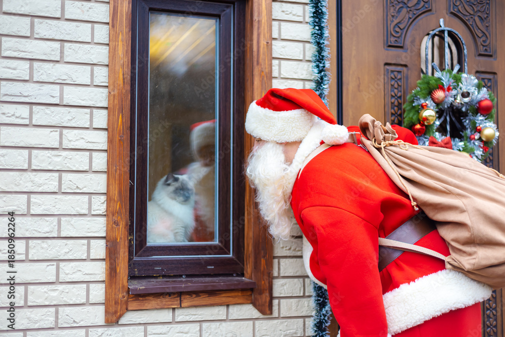 Obraz premium Santa Claus stands near the decorated front door. Fluffy cat sitting on the window.