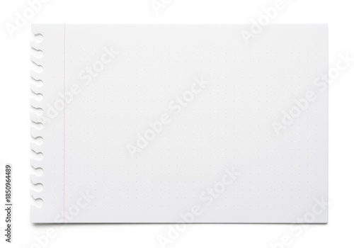 Blank dotted paper sheet torn from spiral pad with margin line and perforated edge, printable page for task notes and form layouts with generous copy space for text placement in print production