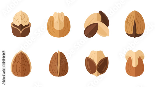 Detailed Flat Vector Icon Set of Various Types of Nuts and Seeds, Ideal for Healthy Food or Snack