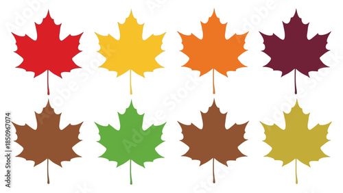 Colorful maple leaves assortment representing autumn season with fall foliage