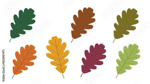Colorful and Diverse Oak Leaf Collection for Autumn Designs and Seasonal Projects