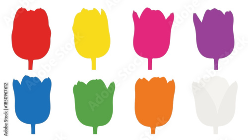 Collection of colorful tulip silhouettes isolated on white background showcasing spring floral