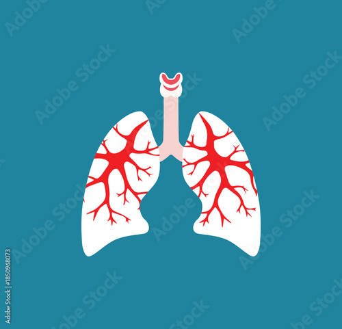 Human lungs with internal structure anatomical illustration vector in flat style on blue background
