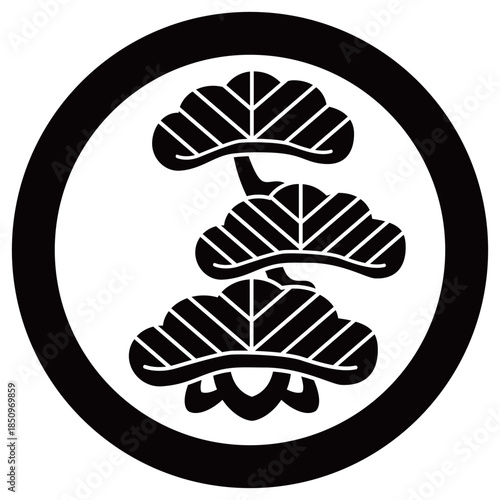 家紋です。三つ枝松といいます。