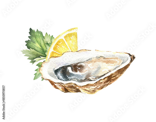 Fresh oyster with yellow lemon and herbs. Watercolor shellfish illustration isolated on white. Seafood hand drawn graphic. Mediterranean cuisine, gourmet restaurant dinner, raw dish sketch.