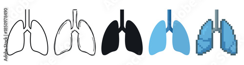 Collection of human lungs icons in various graphic styles including line art, sketch, silhouette, flat design, and pixel art for medical or health concepts