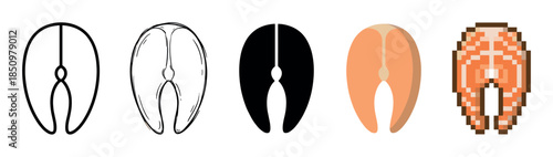 Set of five salmon steak icons in various design styles including line art, sketch, silhouette, flat color, and pixel art for graphic design