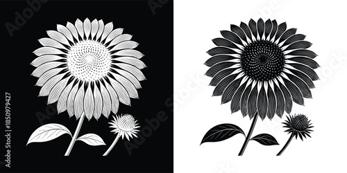 Radiant sunflower isolated on white background, perfect for adding a touch of summer and joy to your designs or creating unique floral illustrations