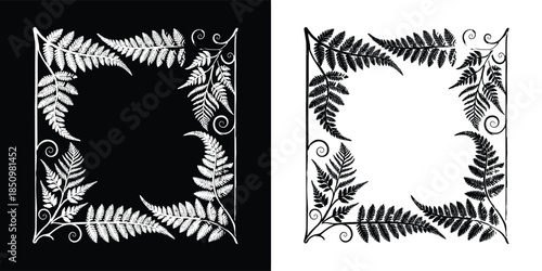 Fern leaf frame with intricate details, isolated on white background, ideal for natureinspired designs and adding a touch of organic beauty