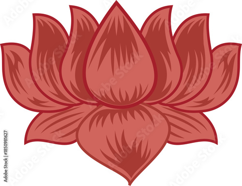lotus flower blossom design