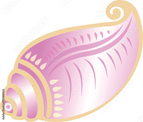 Conch shell , Sankha Marine Mollusc Art Illustration design