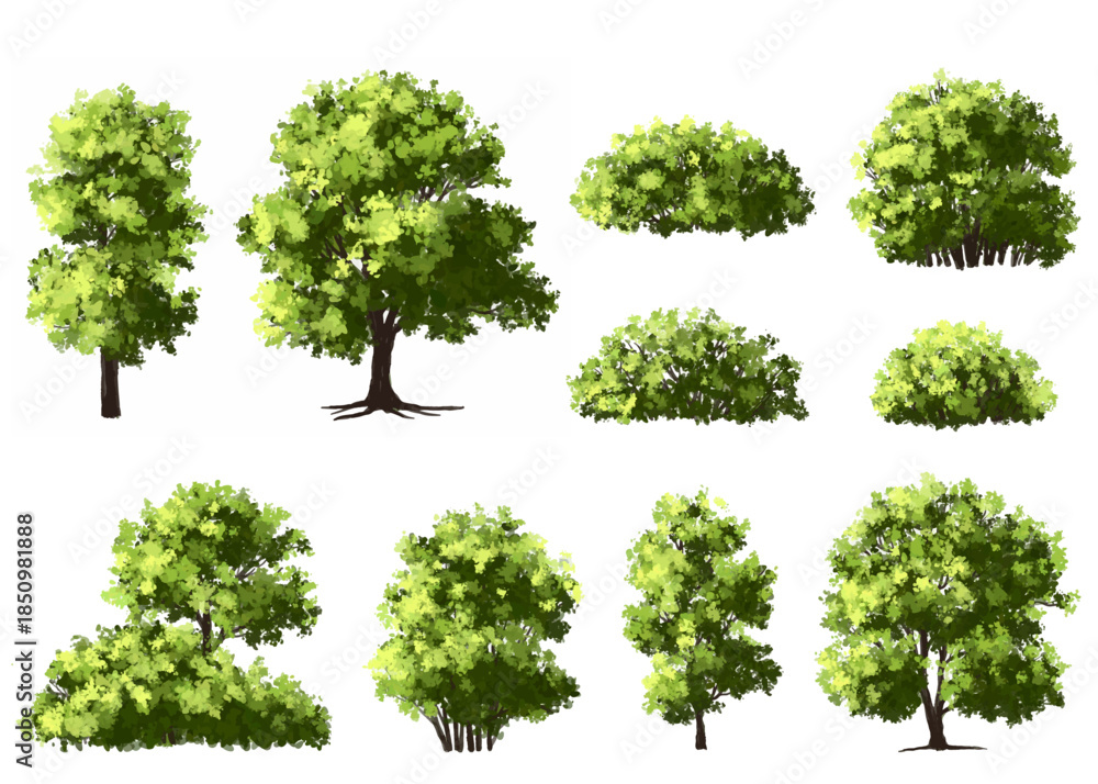 Ταπετσαρία Vector watercolor green  tree or forest side view isolated on white background