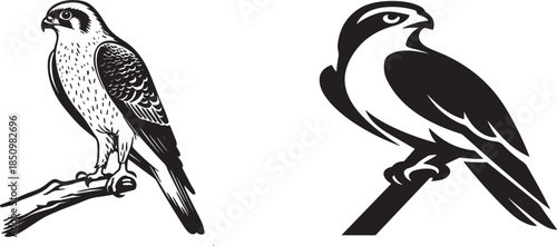 Abstract vector design featuring grayscale and color elements created in illustrator