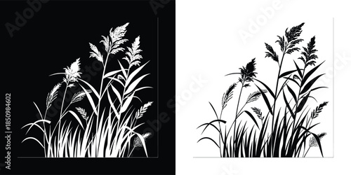 Reed plant in black and white, a natural and serene element, perfect for adding a touch of nature to your designs isolated on white background