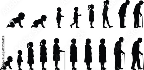 Human life stages silhouette timeline showing growth from baby to elderly age, evolution and aging process concept, cad drawing flat vector illustration