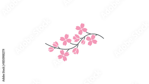 Delicate Pink Cherry Blossoms on a Branch.