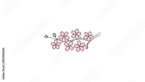 Delicate Pink Cherry Blossoms on a Thin Branch.
