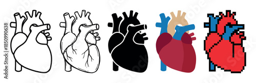 Five anatomical human heart illustrations in various graphic styles including outline, silhouette, flat design, and pixel art, showing a collection of medical icons
