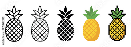 Collection of five pineapple fruit icons showing various design styles like simple outline, hand-drawn sketch, solid black silhouette, flat color, and retro pixel art