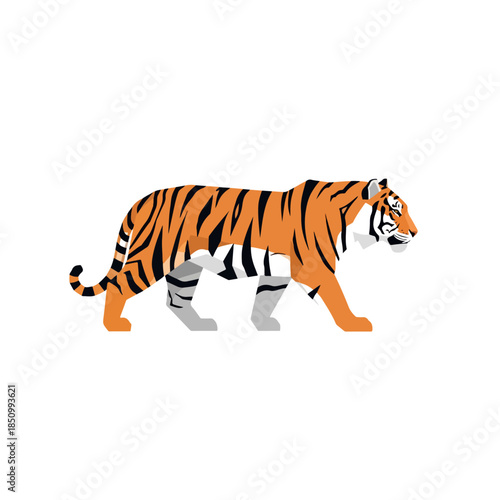 Tiger Striding Forward On White Background.