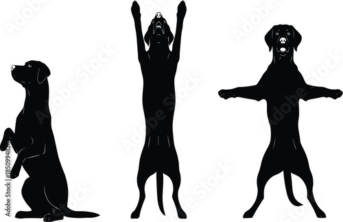 Playful dog silhouettes performing tricks and standing poses, domestic pet training and obedience concept isolated on white background