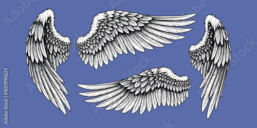 Angel wings, fantasy feathers, divine symbols, spiritual art, black white sketch, freedom icons, celestial style, flat vector illustration