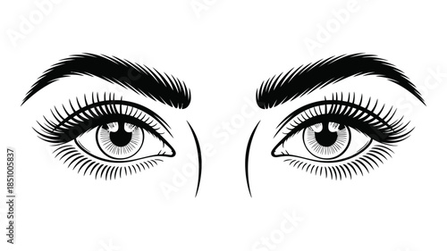 Beautiful symmetrical female eyes illustration with thick eyelashes and full eyebrows