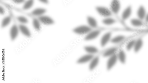 Realistic natural tree leaves shadow overlay effects on wall. Tropical tree branches and leaves blur and gray shadow overlay effect for photo interior backdrop studio mockup. Vector illustration.
