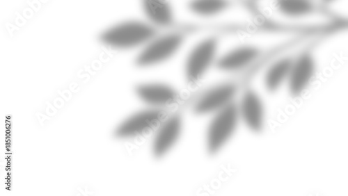 Realistic natural tree leaves shadow overlay effects on wall. Tropical tree branches and leaves blur and gray shadow overlay effect for photo interior backdrop studio mockup. Vector illustration.