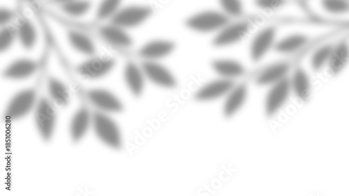 Realistic natural tree leaves shadow overlay effects on wall. Tropical tree branches and leaves blur and gray shadow overlay effect for photo interior backdrop studio mockup. Vector illustration.