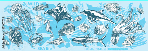 Vector sea animals background set. Ink sketch and silhouettes of whale, dolphin, shark, octopus, crab, lobster, sea horse, sea turtle, jellyfish, starfish, manta, eagle ray, nautilus, coral fish. 