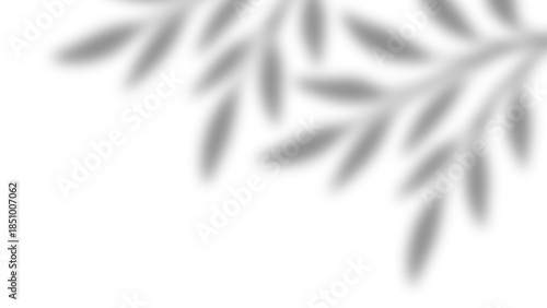 Realistic natural tree leaves shadow overlay effects on wall. Tropical tree branches and leaves blur and gray shadow overlay effect for photo interior backdrop studio mockup. Vector illustration.