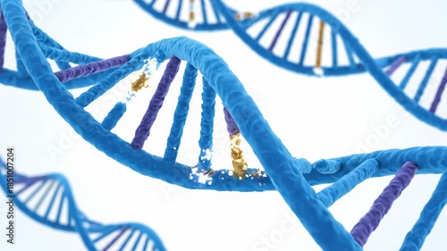 DNA Damage and Repair - A Visual Representation of Genetic Integrity.