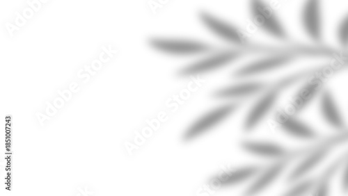 Realistic natural tree leaves shadow overlay effects on wall. Tropical tree branches and leaves blur and gray shadow overlay effect for photo interior backdrop studio mockup. Vector illustration.
