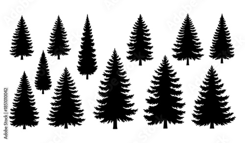 Pine and spruce forest tree silhouettes set for landscape design isolated on white background