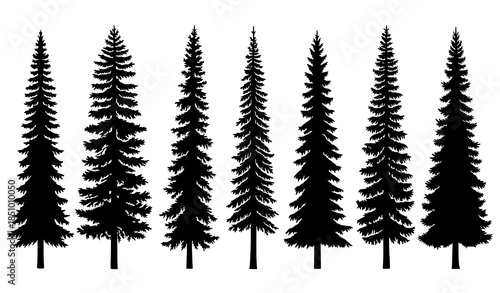Pine and spruce tree silhouette collection with realistic conifer profiles isolated on white background vector