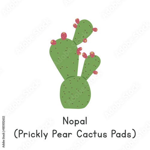 Nopal (Prickly Pear Cactus Pads) Flat Cartoon Vector Illustration Isolated on White Background