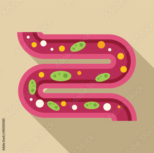Gut containing various bacteria and microorganisms, representing digestive health