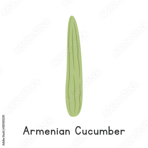 Armenian Cucumber Flat Cartoon Vector Illustration Isolated on White Background