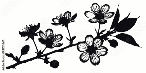 Floral Branch Silhouette with Blossoms and Leaves in Simple Elegant Design on White Background for Greeting Card