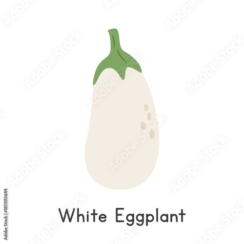 White Eggplant Flat Cartoon Vector Illustration Isolated on White Background
