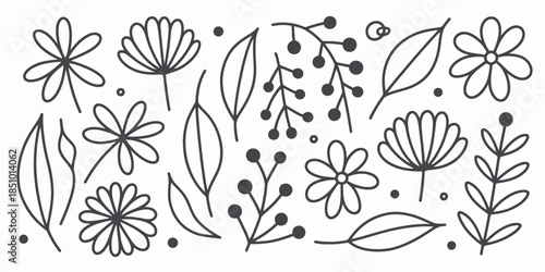 Floral elements collection in minimalist line art style with black ink on white background for graphic design