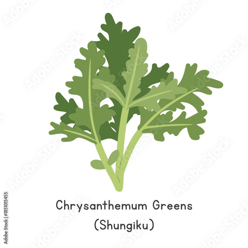 Chrysanthemum Greens (Shungiku) Flat Cartoon Vector Illustration Isolated on White Background