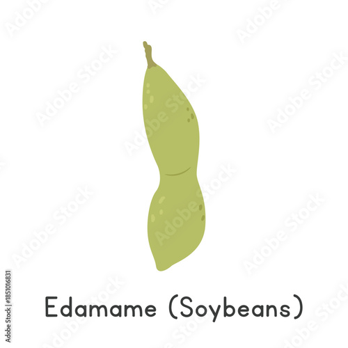 Edamame Vector Illustration. Edamame or Soybean Cartoon Clipart, Vegetable in Flat Style. Also called Mukimame, Mao Dou, or Glycine max. Legume Concept. Common Vegetable Vector Design