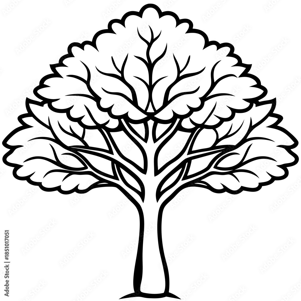Obraz premium Locust tree line art vector